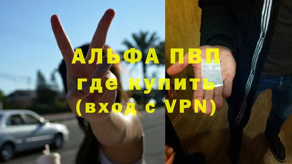 шишки Волоколамск