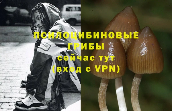 ешки Волосово