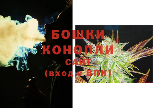 шишки Волоколамск
