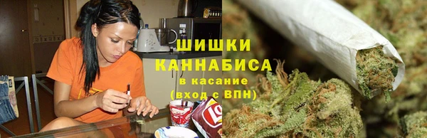 шишки Волоколамск