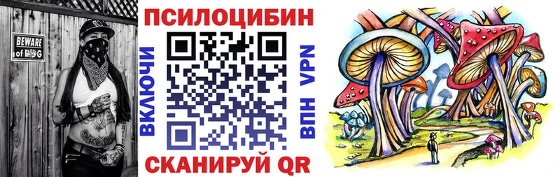 Псилоцибиновые грибы мухоморы  купить  сайты  Болхов 