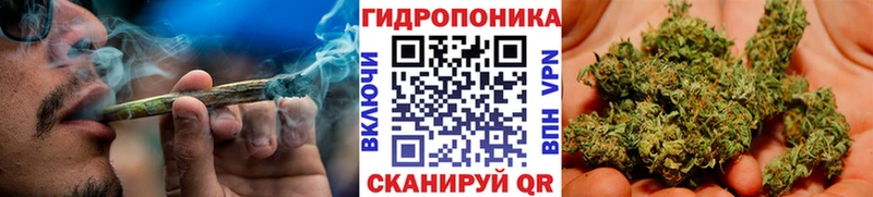 Шишки марихуана VHQ  Болхов 